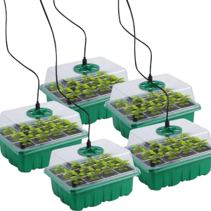 Set Mini Invernaderos con Luz
