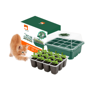 Kit Catnip