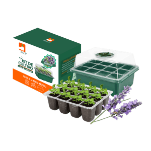 Kit Aromáticas