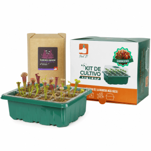 Kit Sarracenias Variedades
