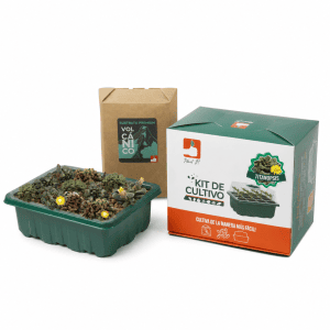 Kit Titanopsis