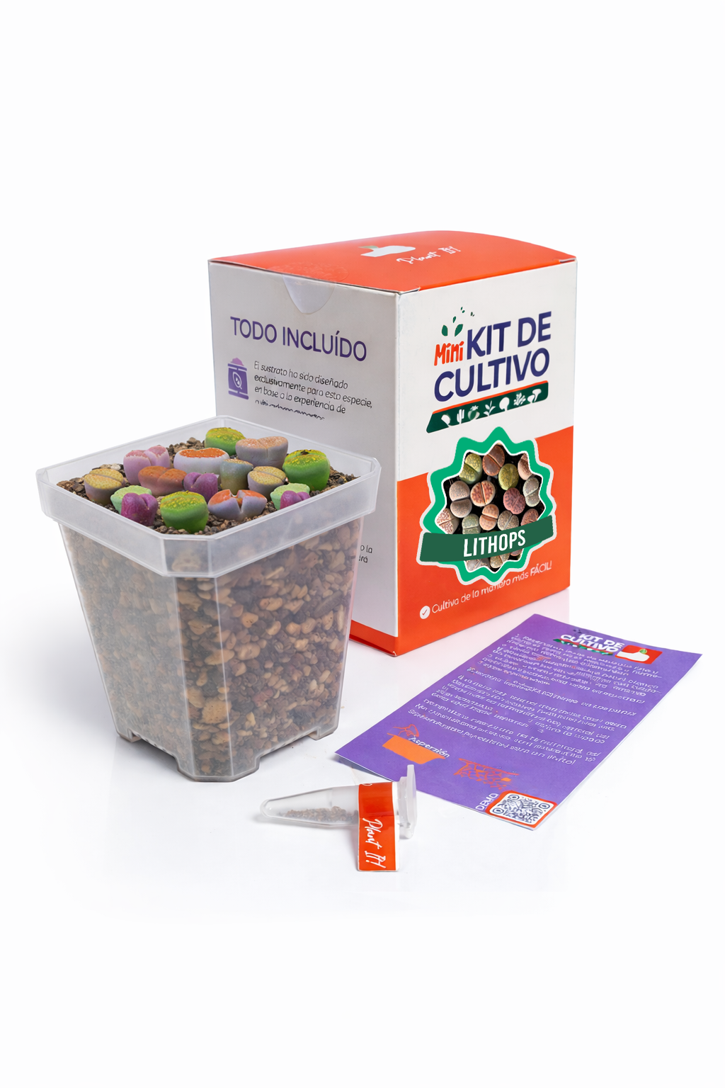 Mini Kit Lithops