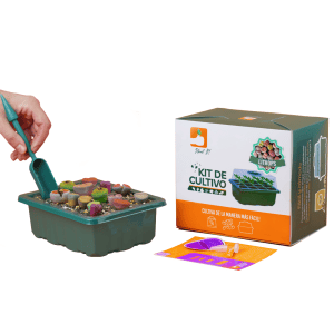 Kit Lithops
