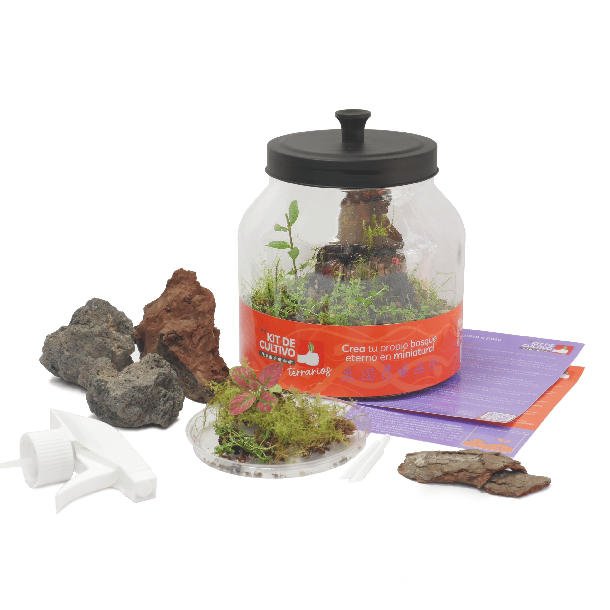 Kit Terrario Bosque Eterno