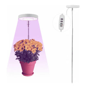 Aro de Cultivo Violeta